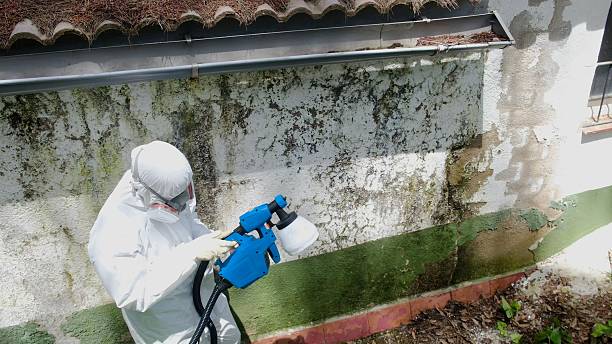 Trusted Commercial Mold Remediation service in Avenue, MD - Cheap Mold Removal